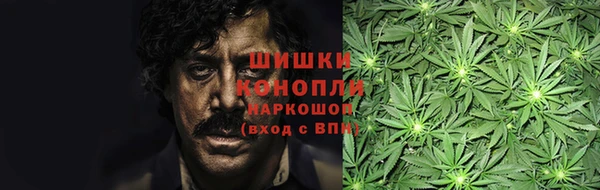 шишки Богородск