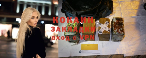 шишки Богородск