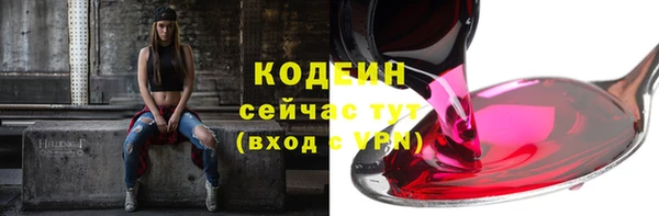 шишки Богородск