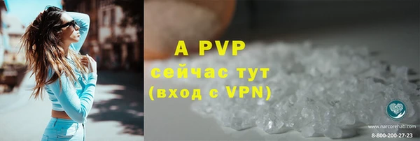 амф Богородицк