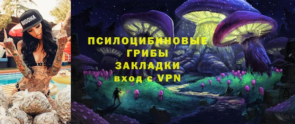 шишки Богородск
