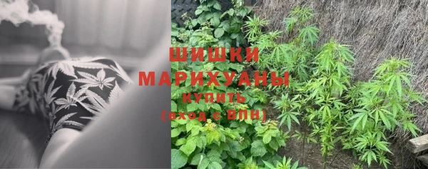 амф Богородицк