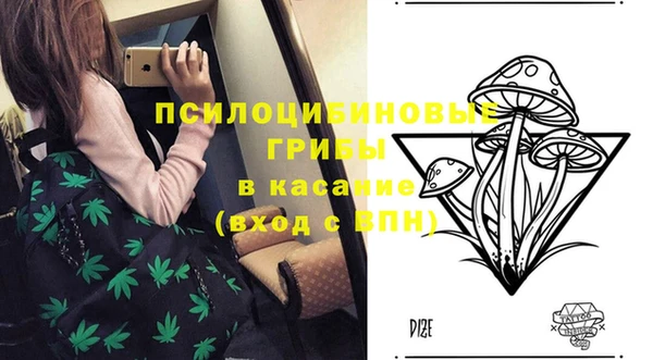 spice Богданович