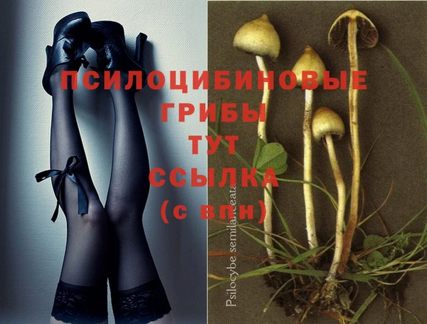spice Богданович